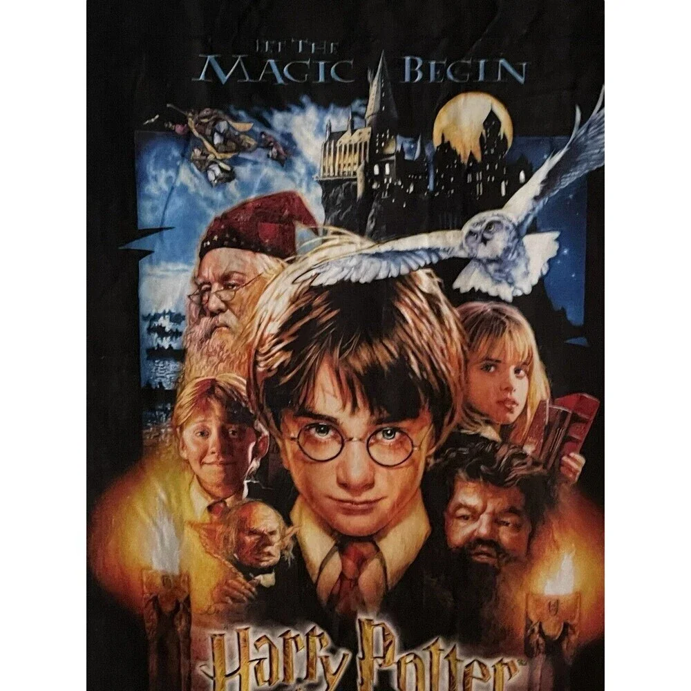 Wizarding World Of Harry Potter this harry